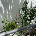 Persa * Gjirokastër