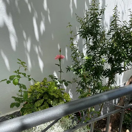 Persa * Gjirokastër